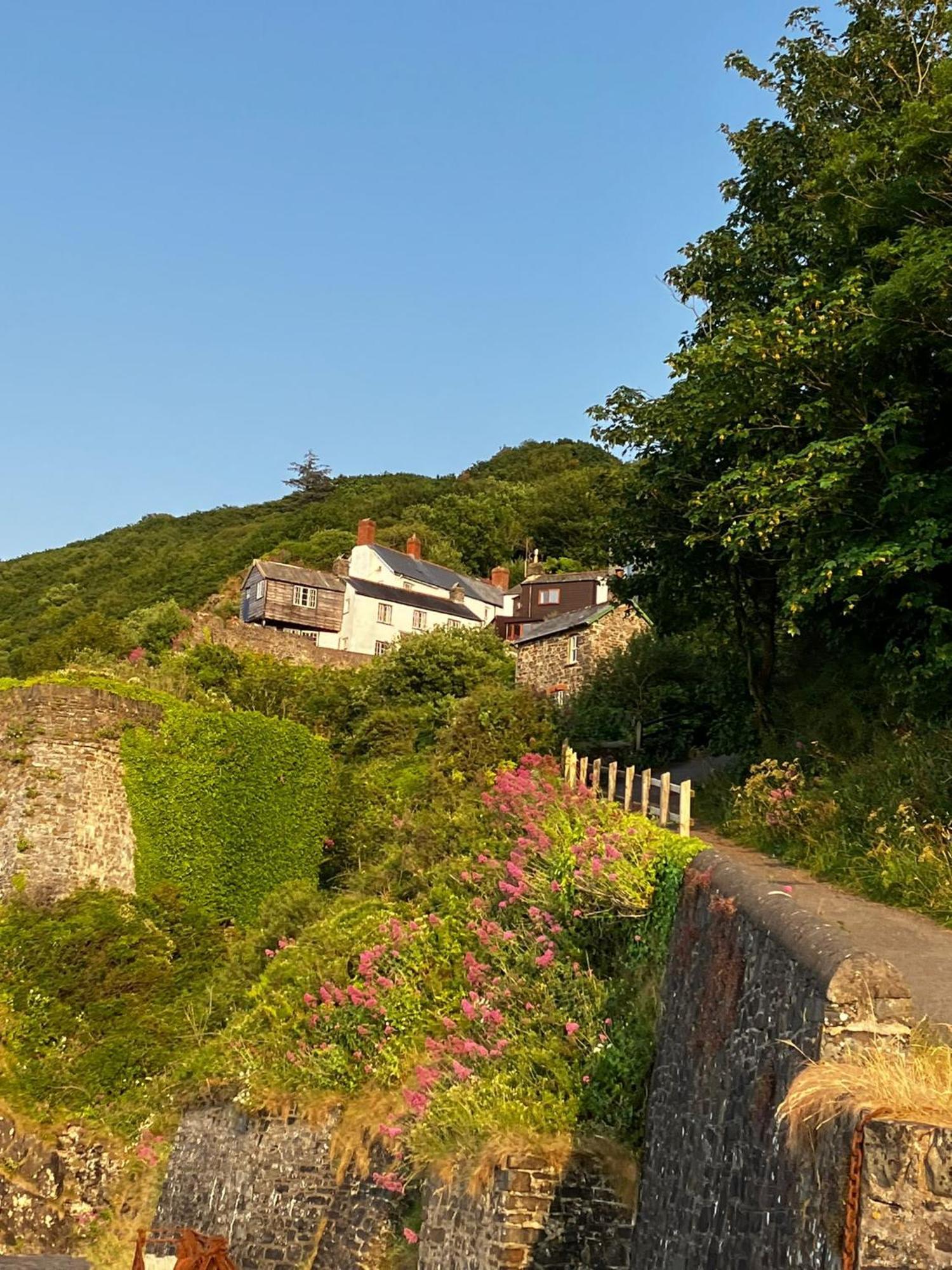 Cosy Boathouse Cottage By The Sea With Log Burner Bucks Mills エクステリア 写真